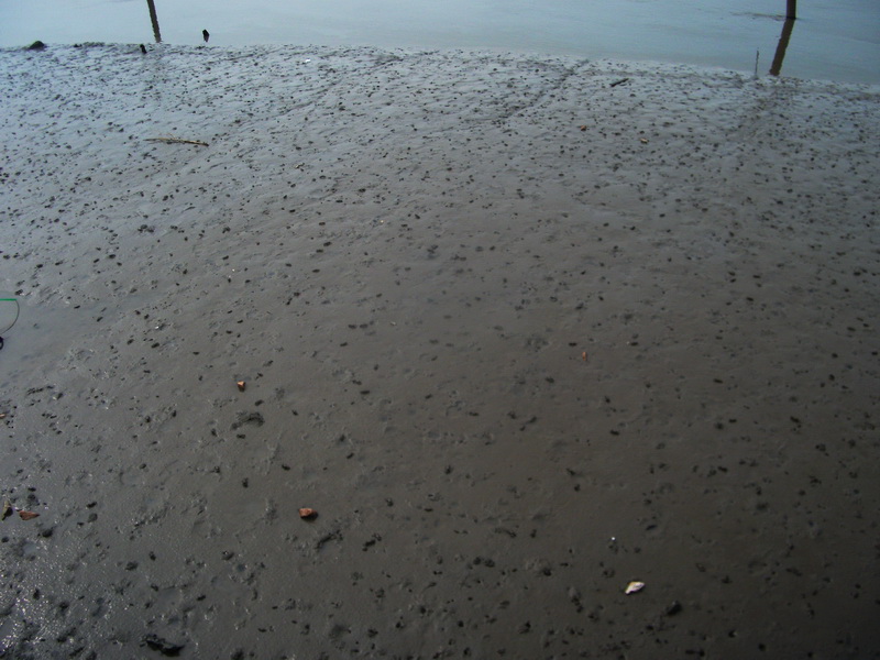 dscf0052.jpg