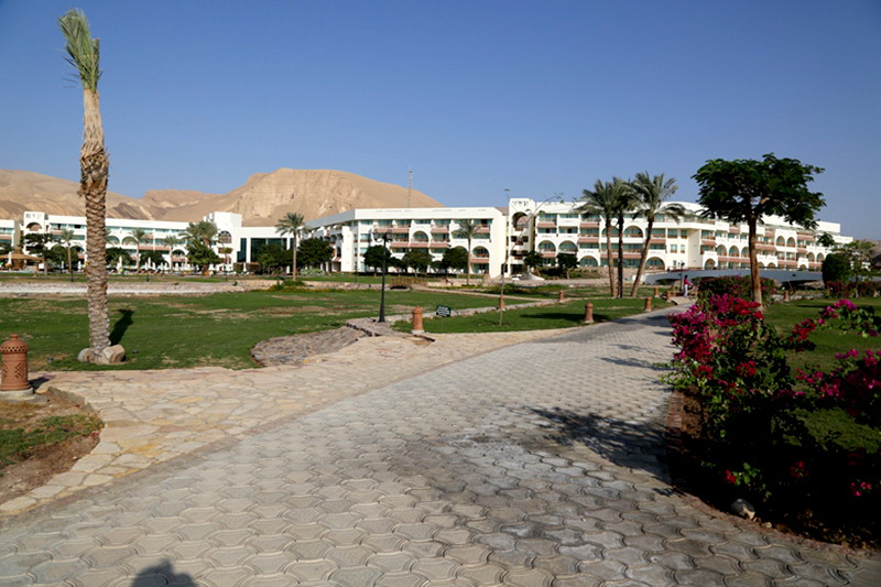 3d6a0780.jpg