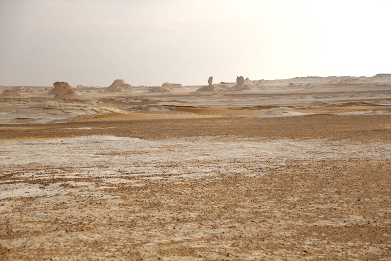 3d6a2173.jpg