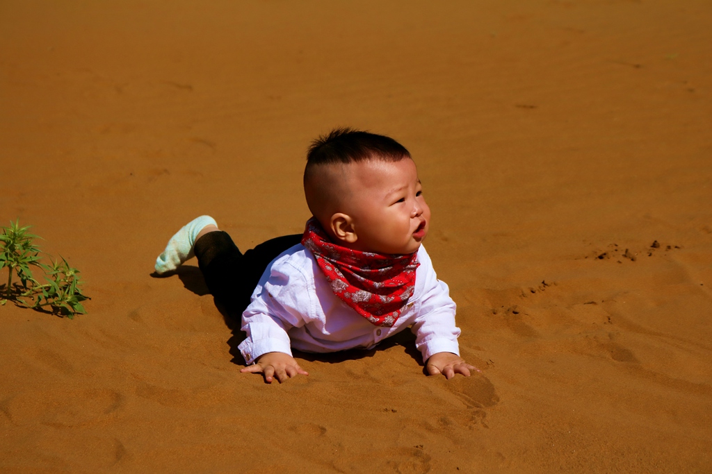 img_0388_副本_dh.jpg