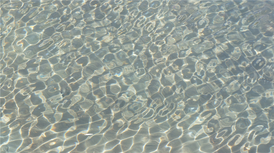 dsc05442_.jpg