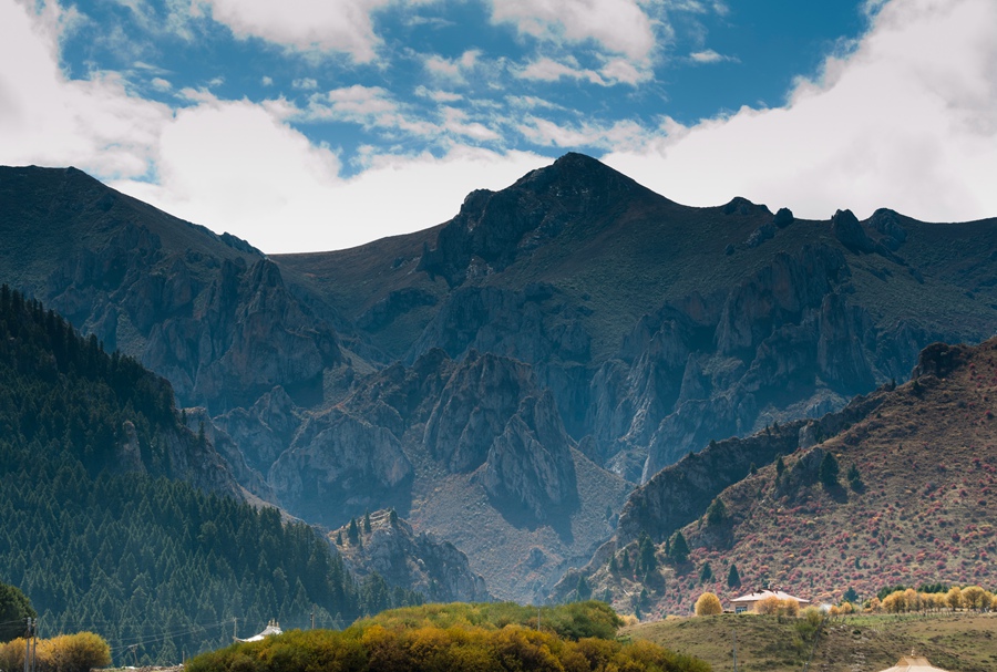 _dsc9112.jpg
