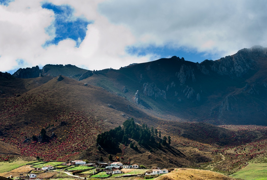 _dsc9111.jpg