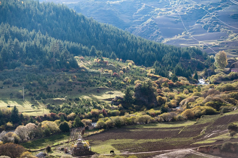_dsc9167.jpg