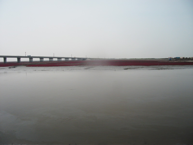 dscf0057.jpg