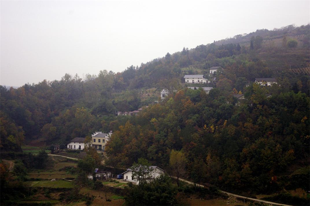 _igp8607.jpg