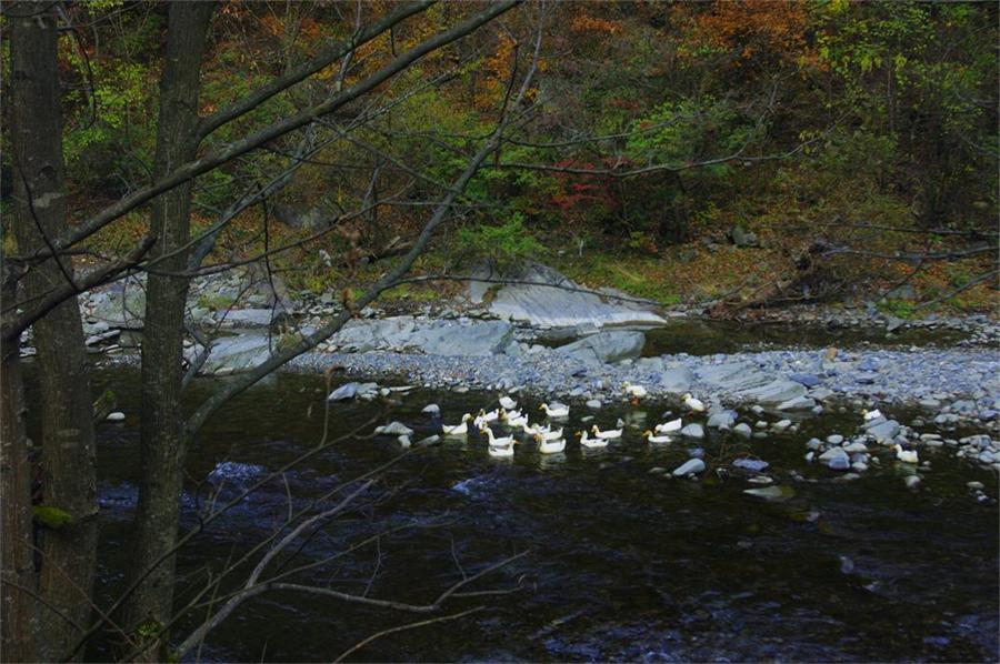 _igp8657.jpg