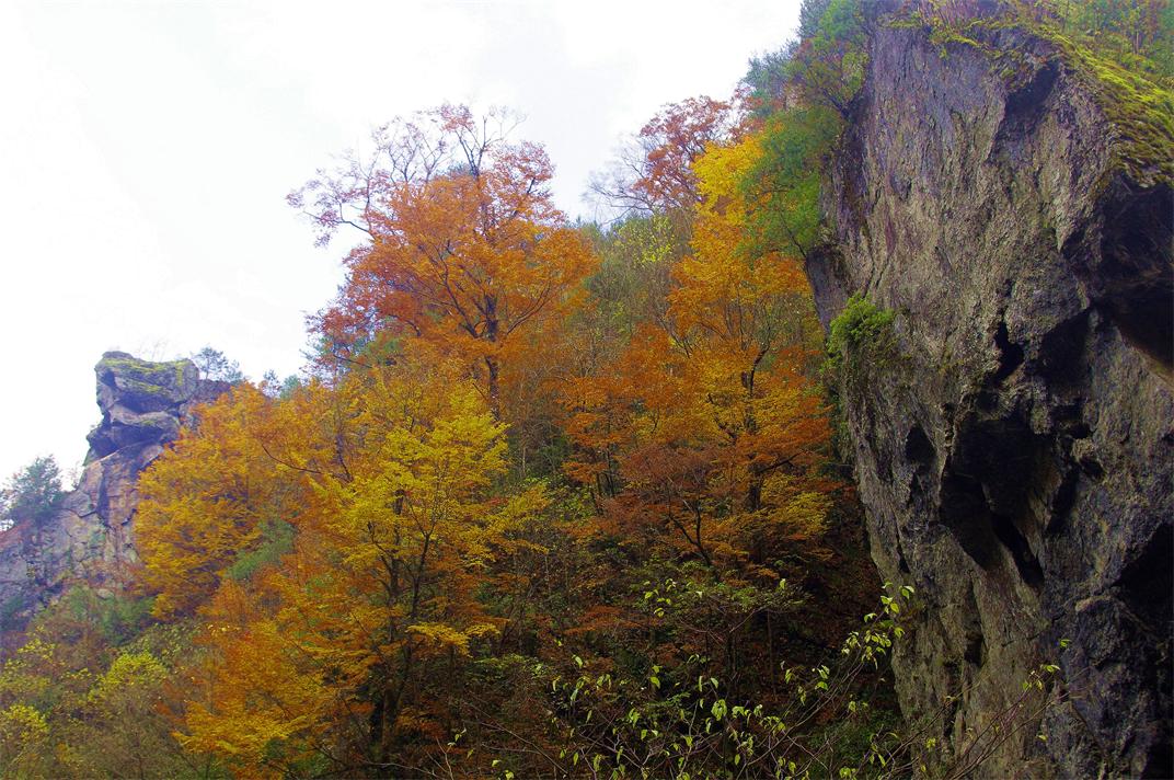 _igp8670_.jpg