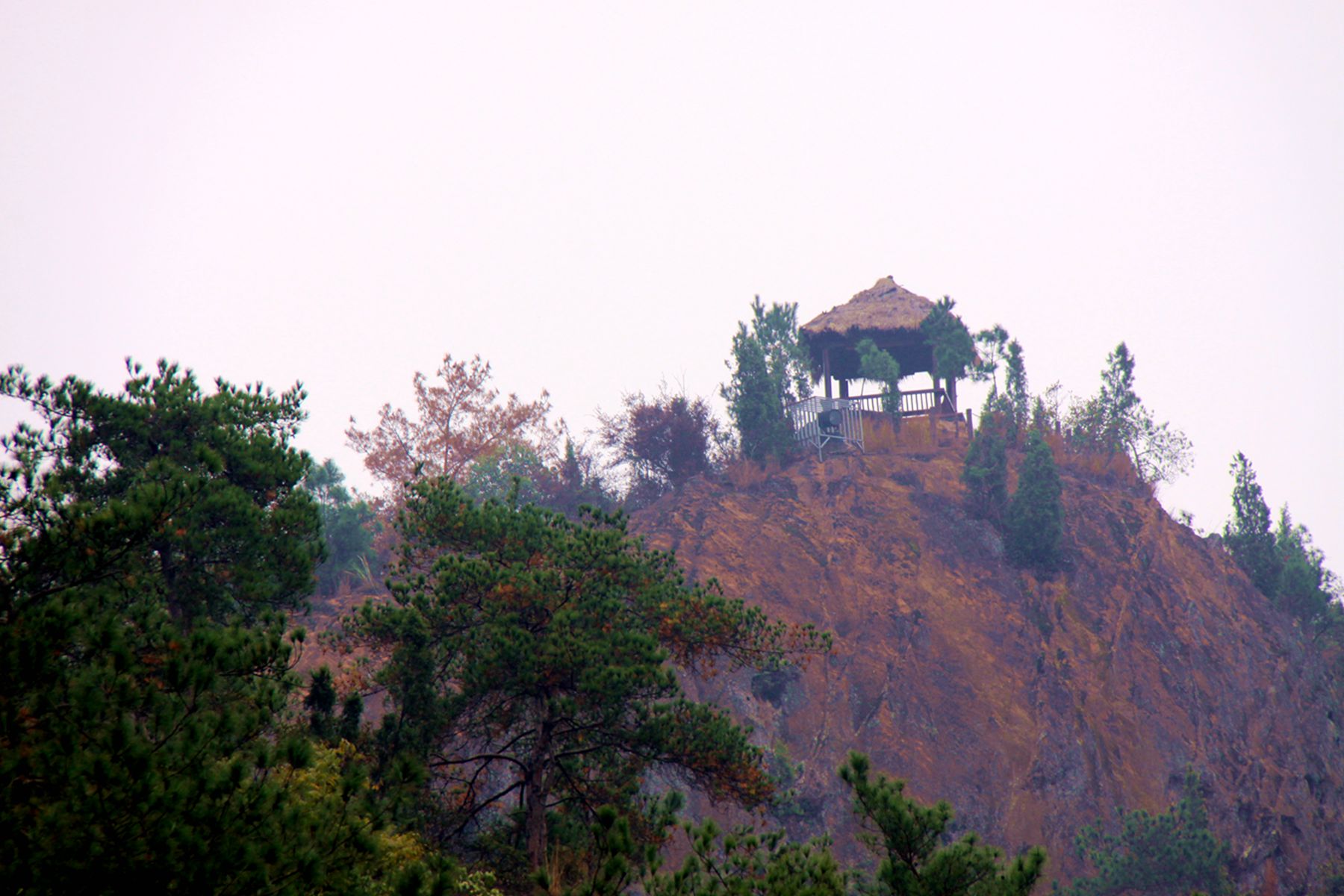 akya 105_.jpg