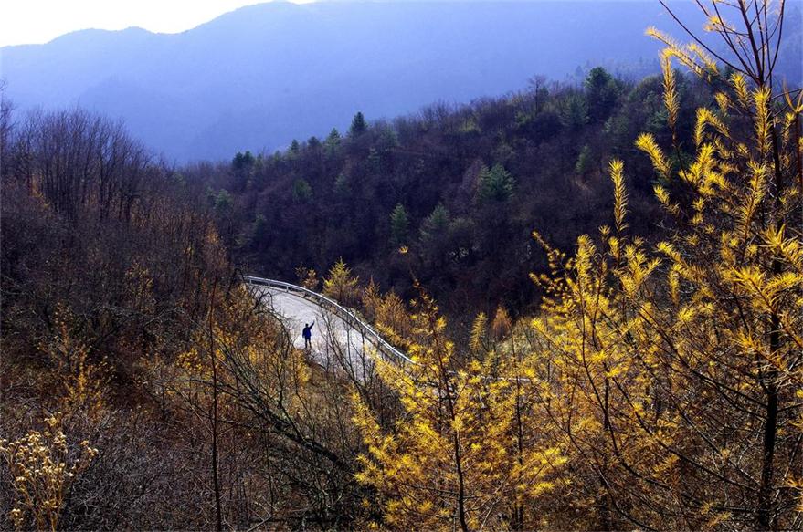 _igp8746.jpg