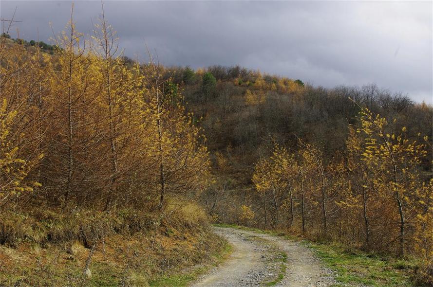 _igp8719.jpg