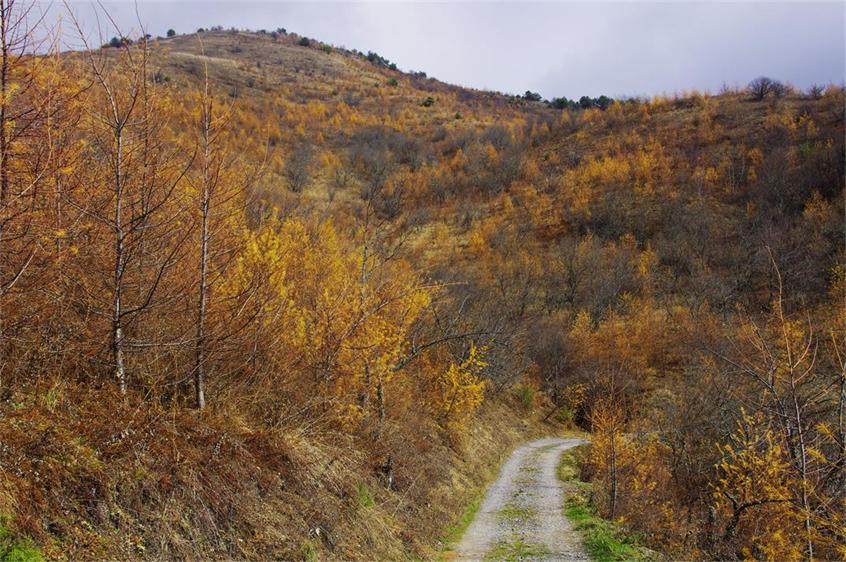 _igp8733_.jpg