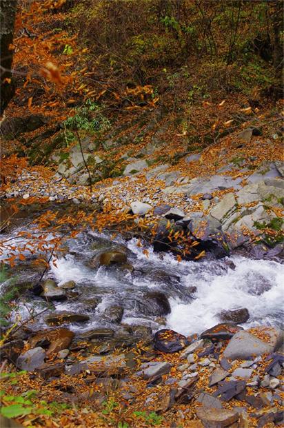 _igp8922.jpg