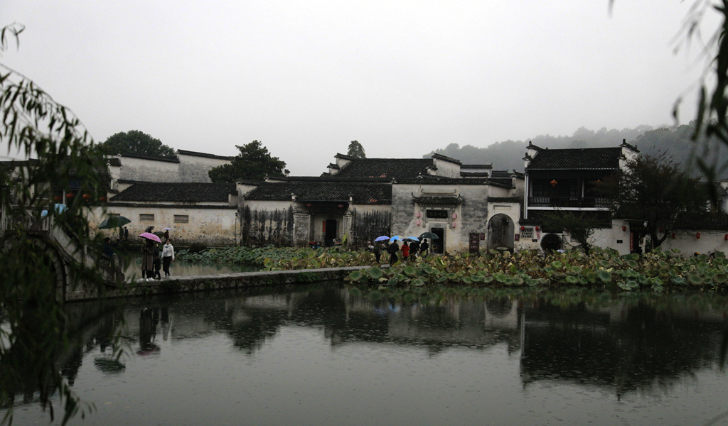 _mg_0010_副本_副本.jpg