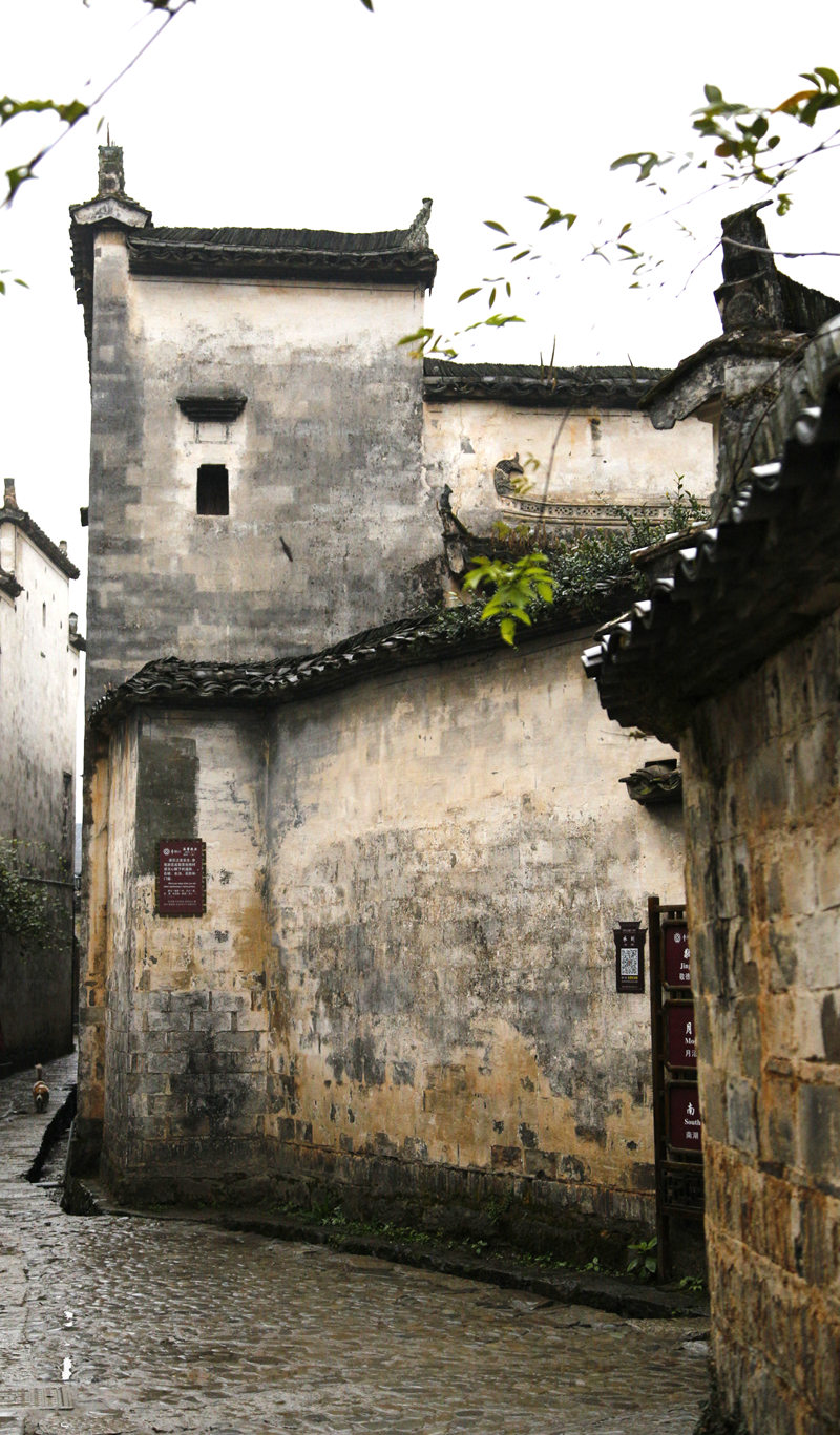 _mg_0092__.jpg