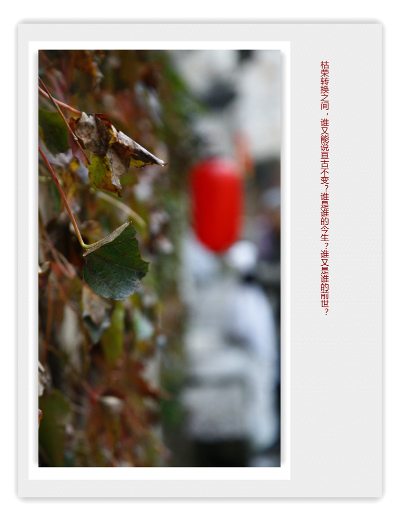 _mg_0111_1_.jpg