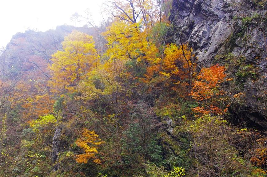 _igp8970.jpg