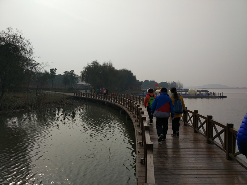 img_20161130_095111_.jpg