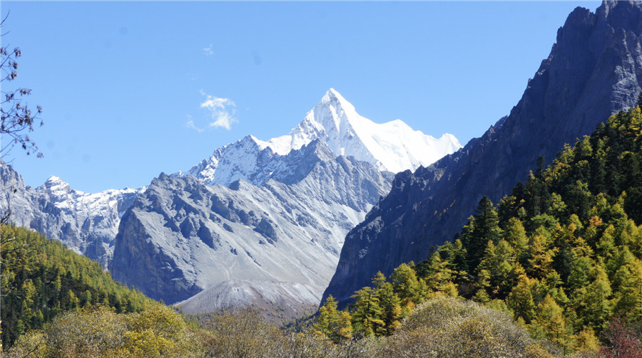 dsc04384_副本.jpg