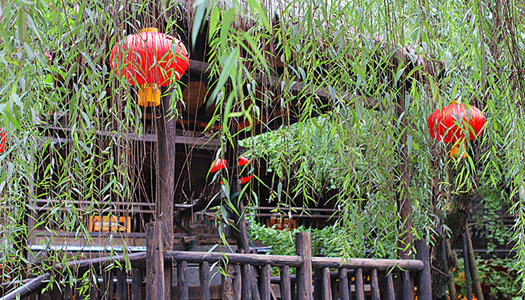 img_54432_8.jpg