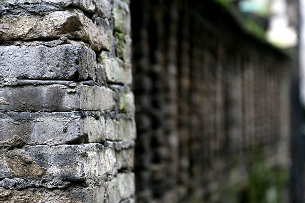 img_7809__.jpg