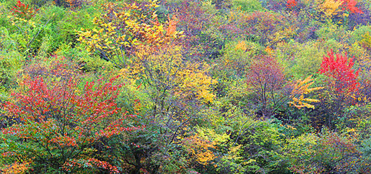 img_5320_4.jpg