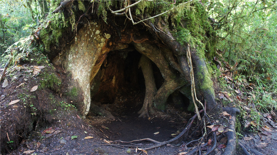 dsc03863_.jpg
