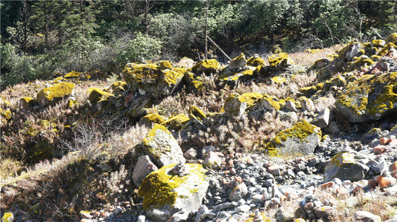 dsc03952_副本_副本.jpg