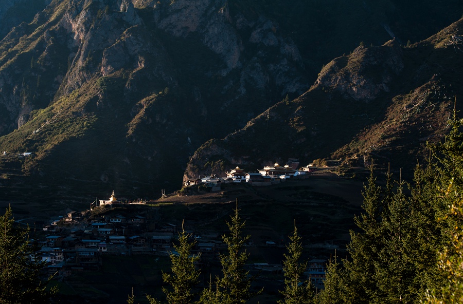_dsc9231.jpg
