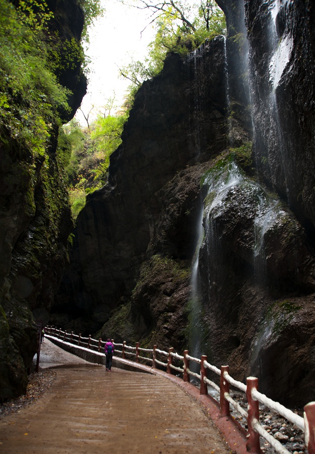 _dsc9259.jpg