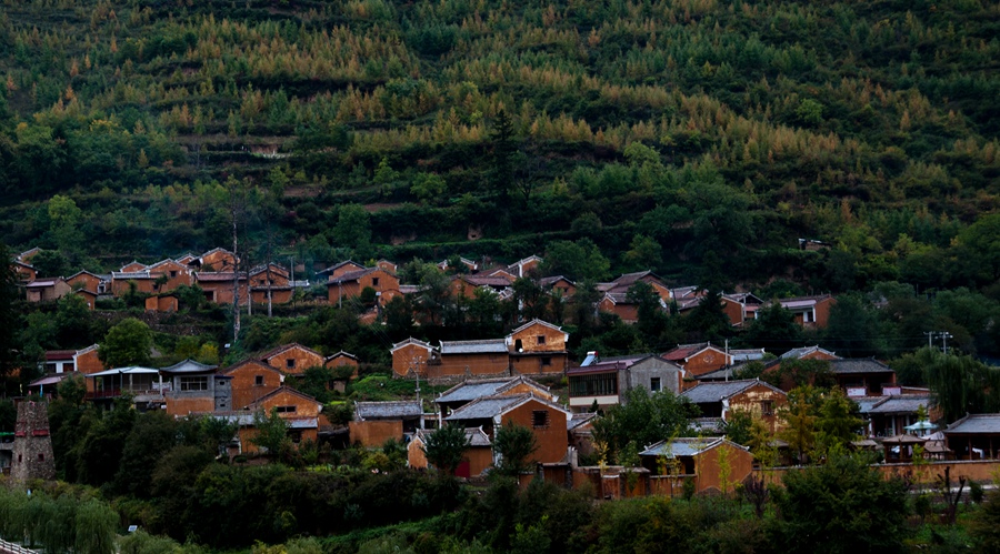 _dsc9278.jpg