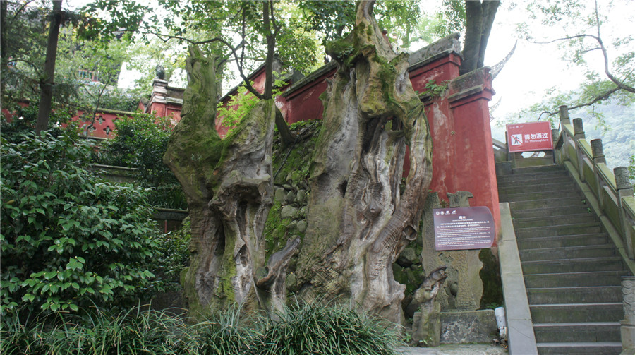 dsc05738_.jpg