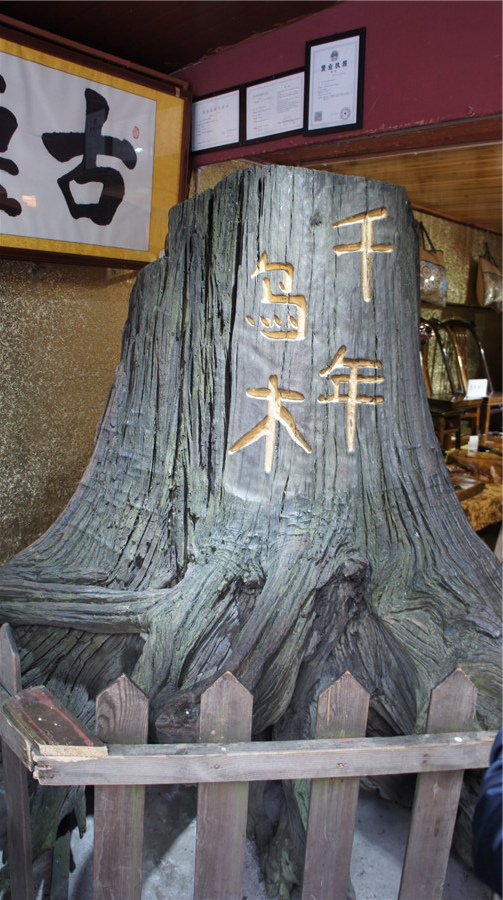 dsc05740__ת.jpg