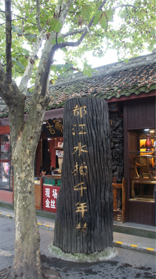 dsc05744__ת.jpg