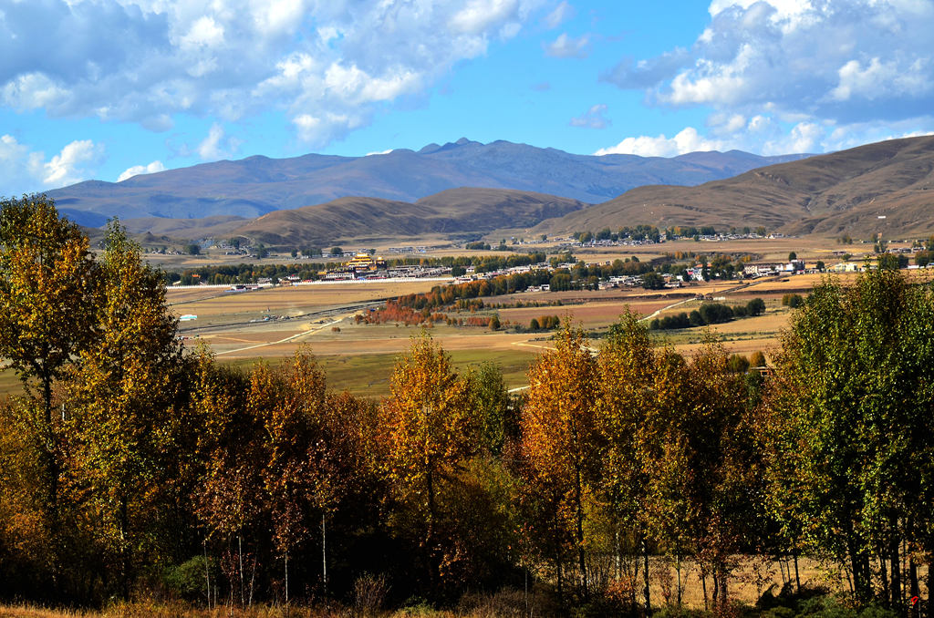 dsc_1904.jpg