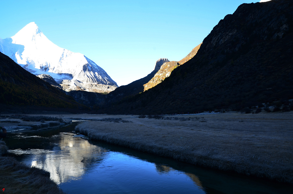 dsc_1463.jpg