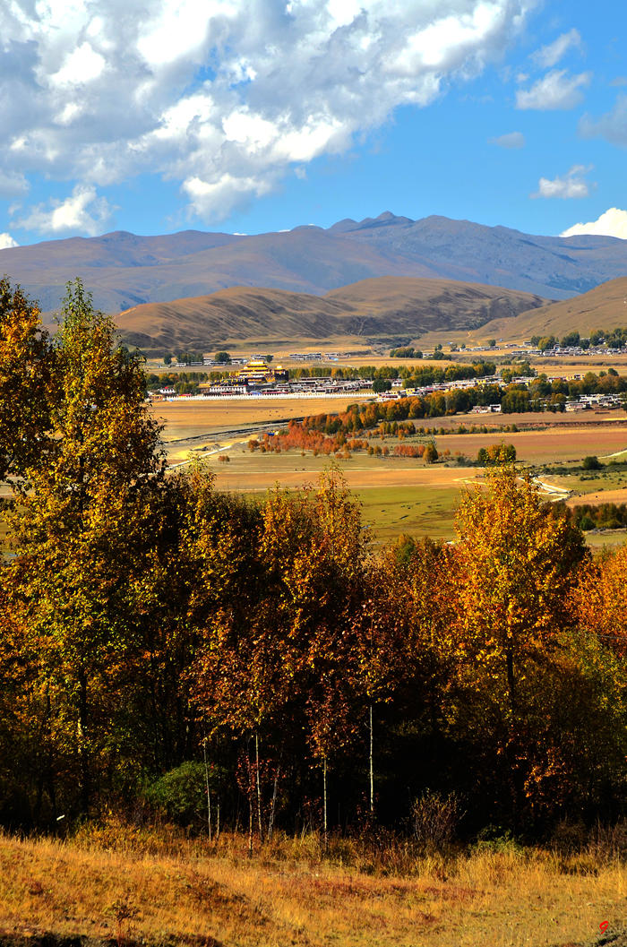 dsc_1905.jpg