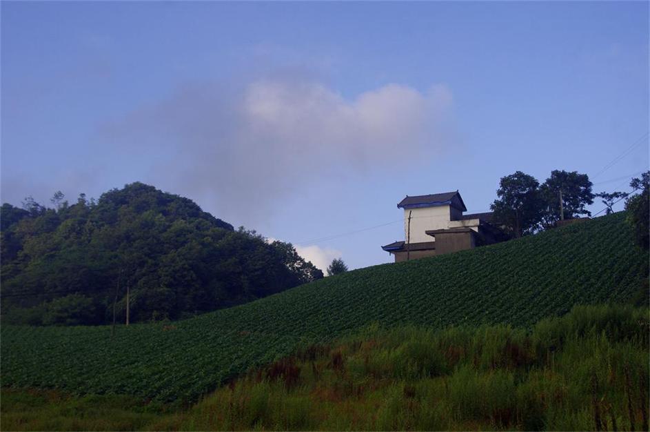_igp7818.jpg