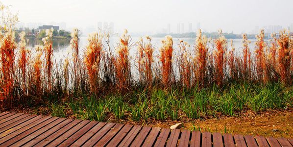img_3438.jpg