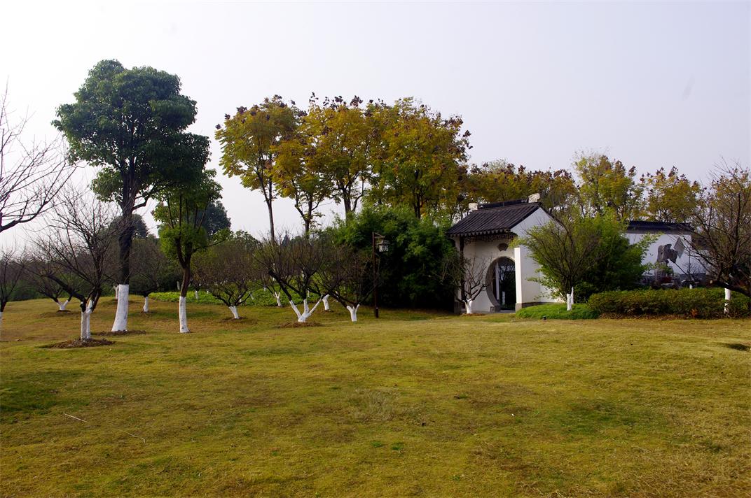 _igp9225.jpg