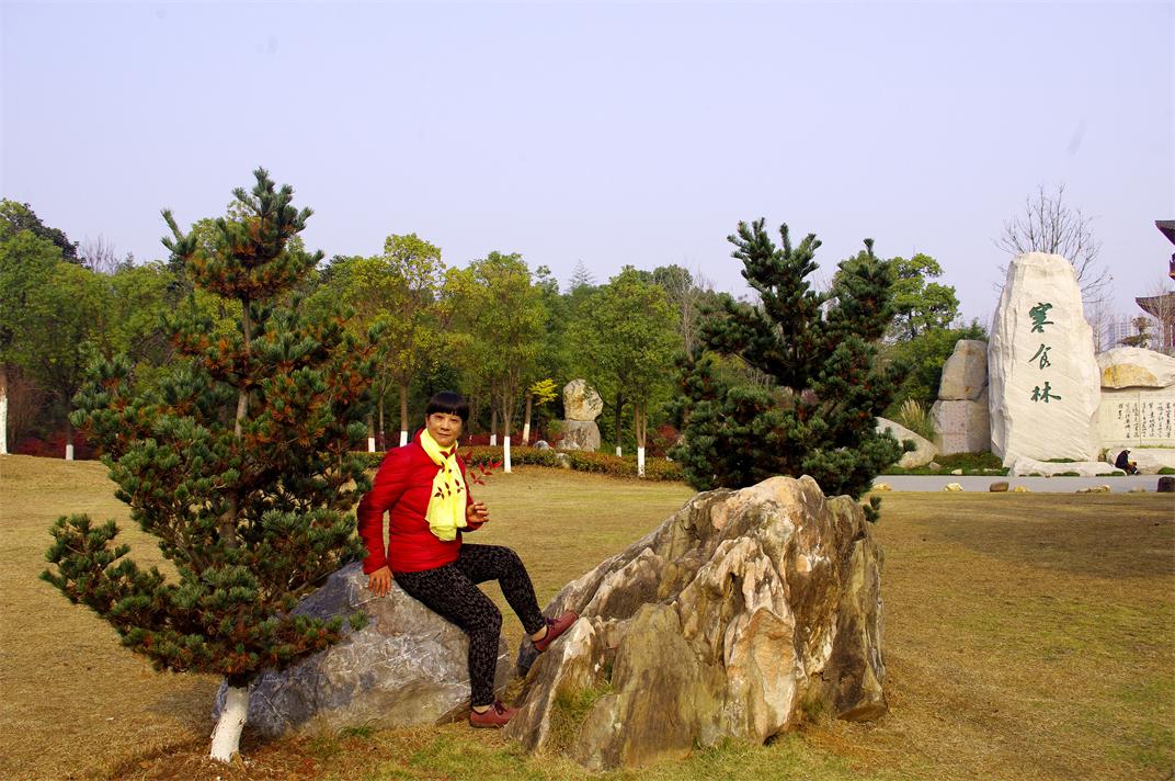 _igp9255.jpg