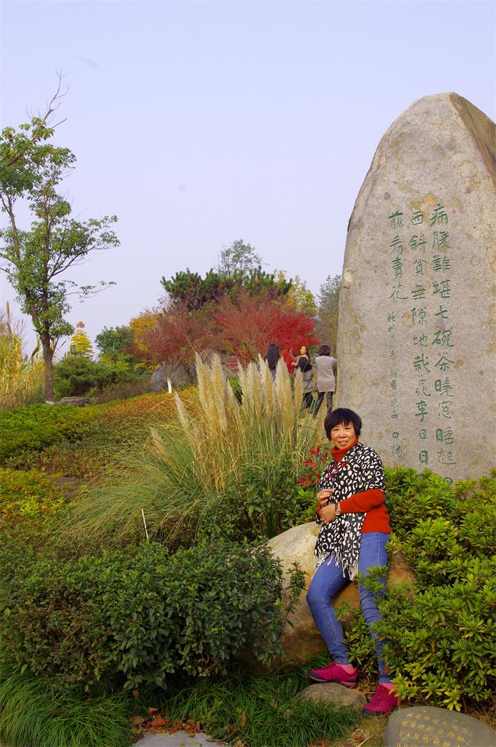_igp9260.jpg