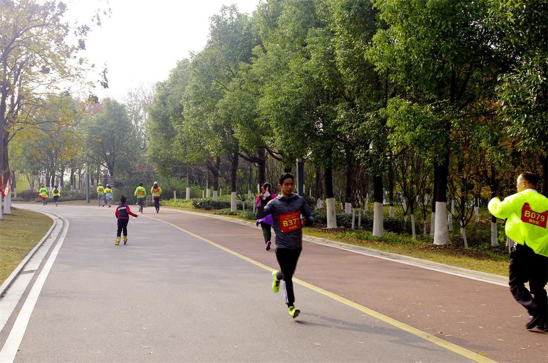 _igp9281.jpg