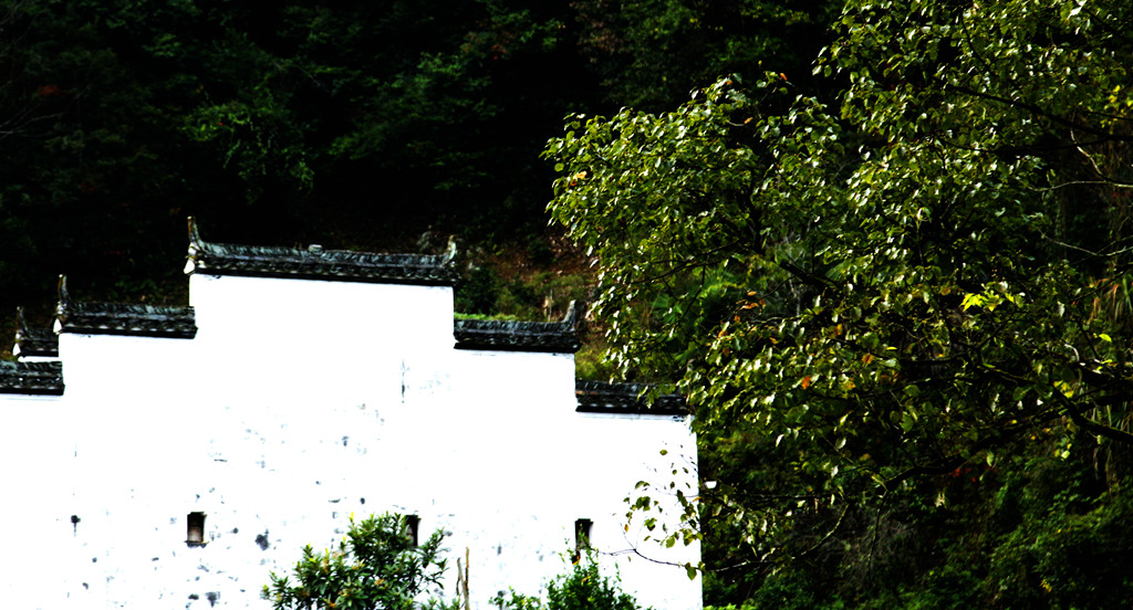 _mg_0216_副本_副本.jpg