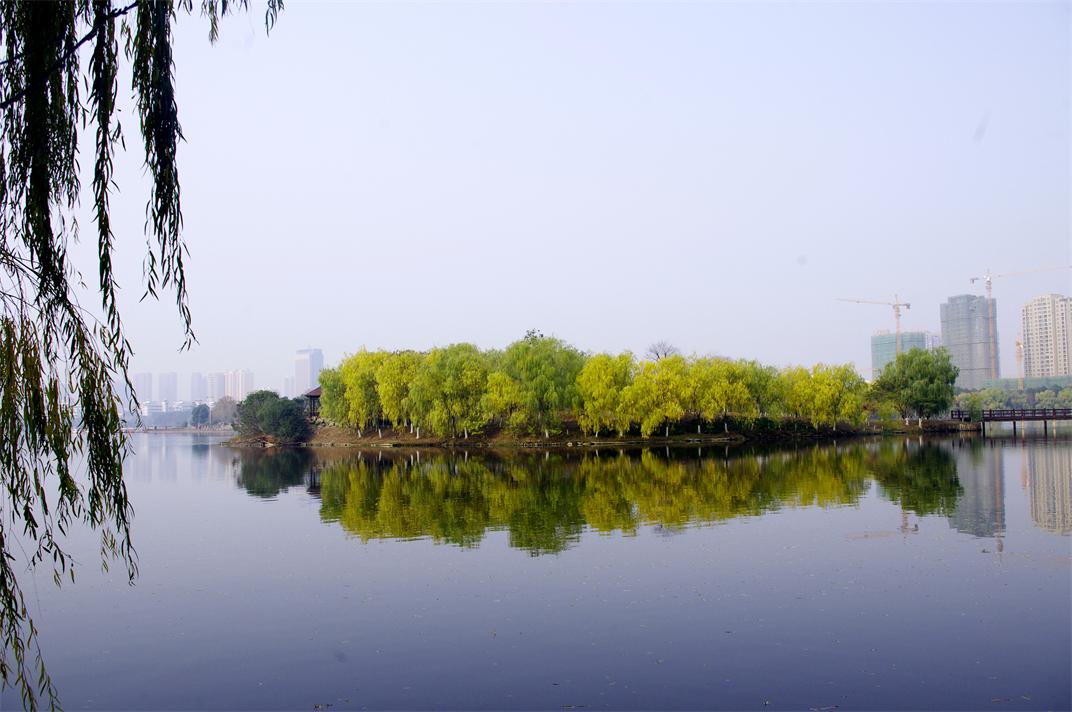 _igp9301.jpg