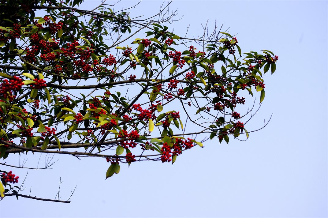 _igp9307.jpg