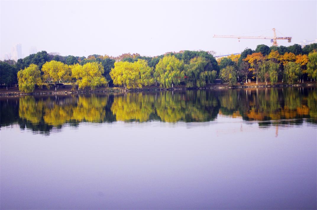 _igp9309.jpg