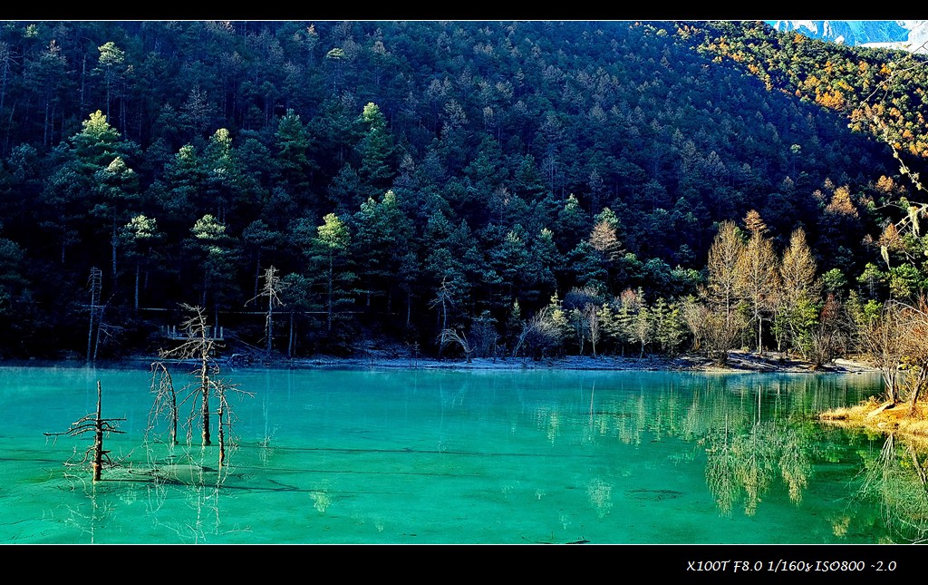 dscf1825.jpg