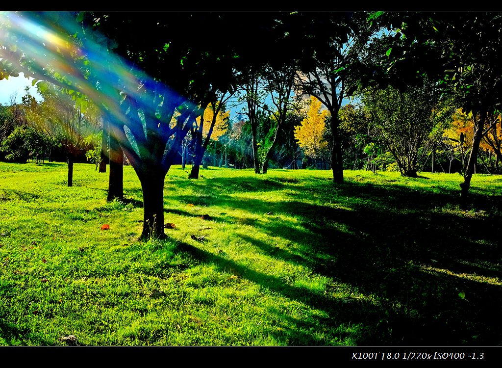 dscf2082.jpg