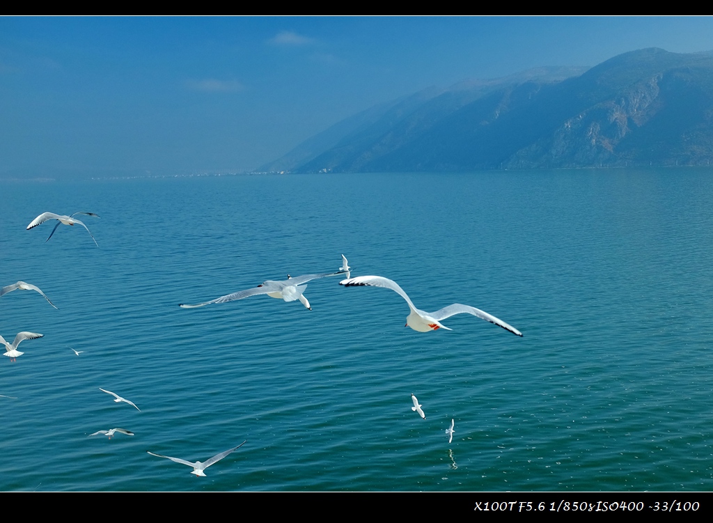 dscf2167-a.jpg